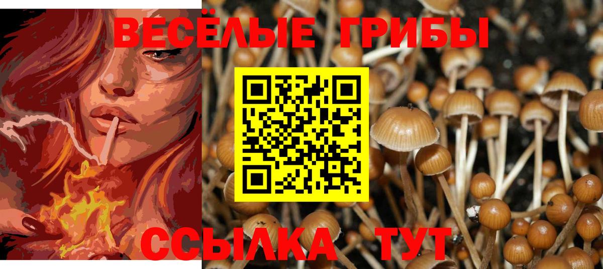 Нефтеюганск  Галлюциногенные грибы Psilocybine cubensis  Псилоцибиновые грибы мицелий  как найти наркотики  Вход с VPN 